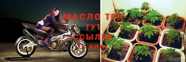 прущие грибы Снежинск