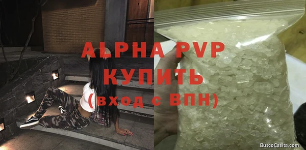 СК Аркадак
