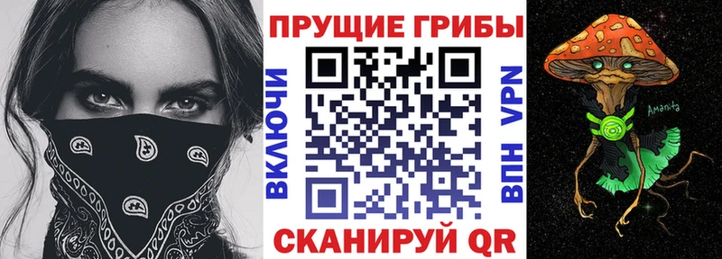 купить наркотики сайты  Таруса  мега   мориарти телеграм  Галлюциногенные грибы прущие грибы 